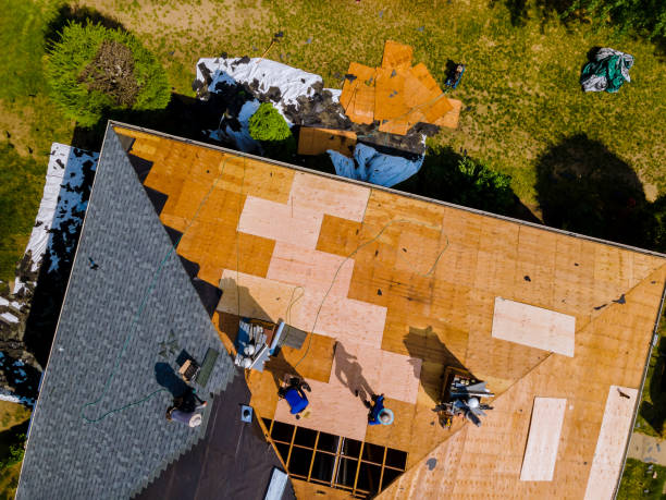 Best Flat Roof Repair Services  in Marianna, FL