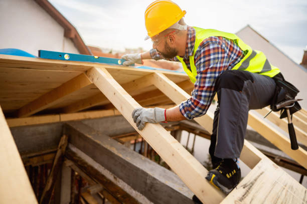 Best Roof Gutter Cleaning  in Marianna, FL